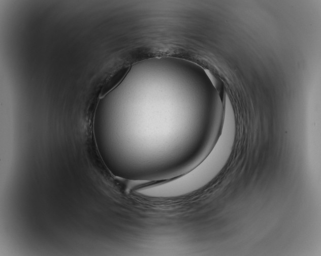 X0000091900601200709261659