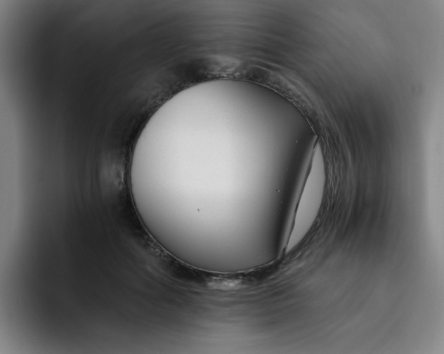 X0000091900602200709261659