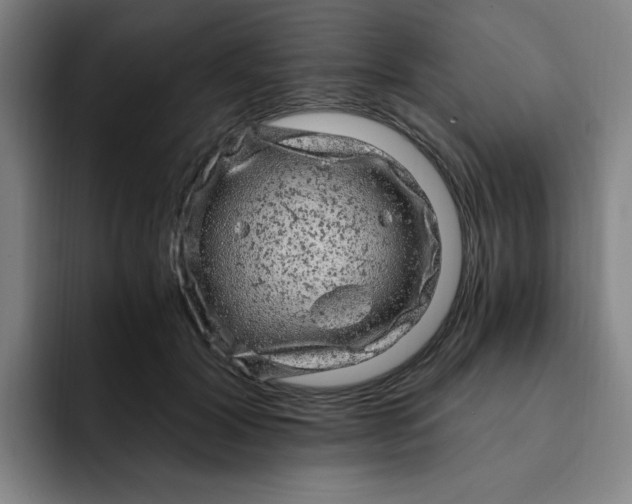 X0000091900604200709261659