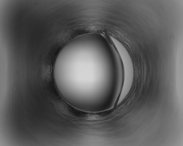 X0000091900605200709261659