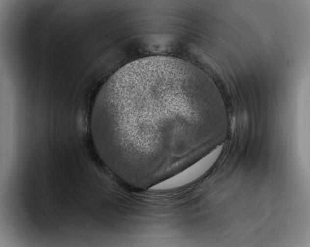 X0000091900606200709261659