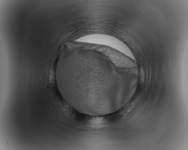 X0000091900609200709261659