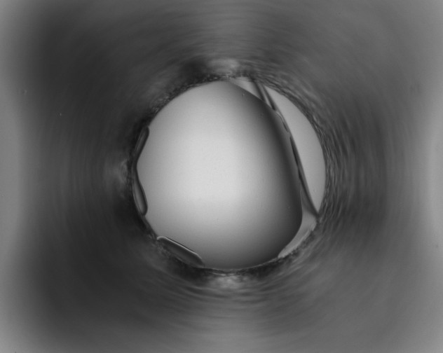 X0000091900611200709261659