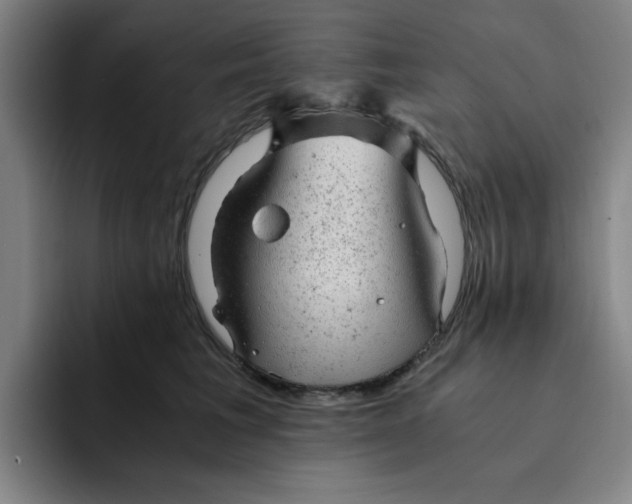 X0000091900613200709261659