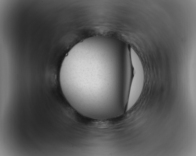 X0000091900615200709261659