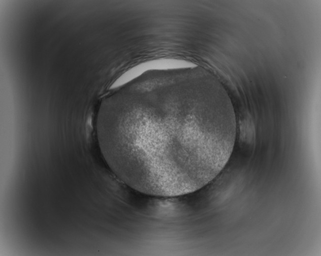 X0000091900618200709261659