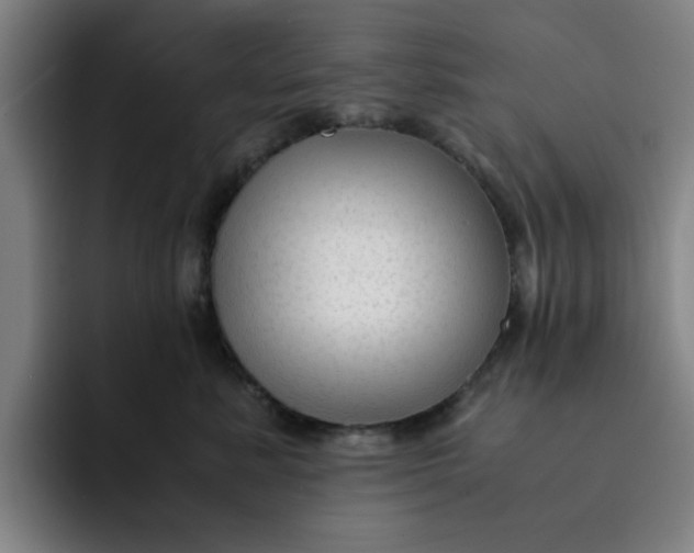 X0000091900619200709261659