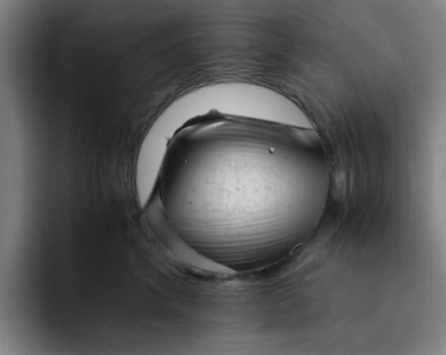 X0000091900620200709261659