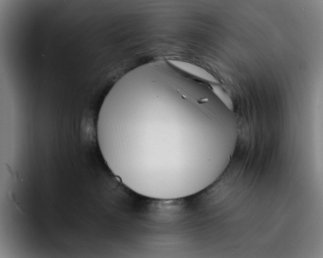 X0000091900622200709261659