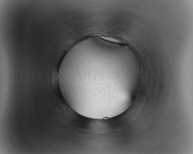 X0000091900624200709261659