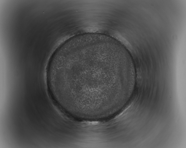 X0000091900626200709261658