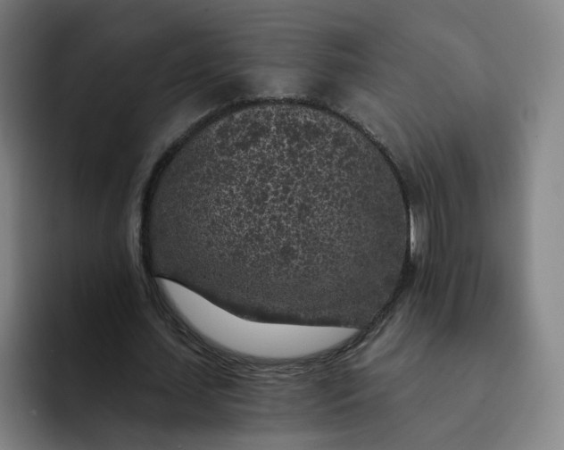 X0000091900627200709261658