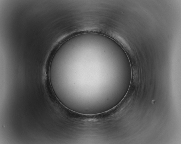 X0000091900628200709261658