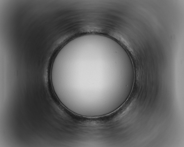 X0000091900629200709261658