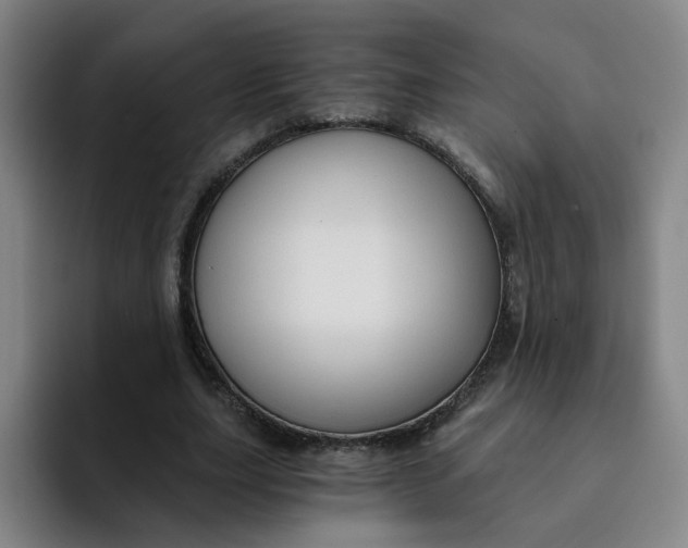 X0000091900631200709261658