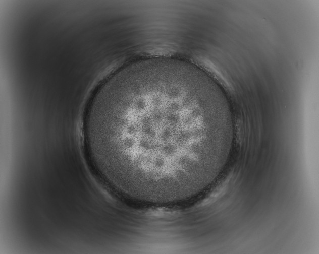 X0000091900634200709261658