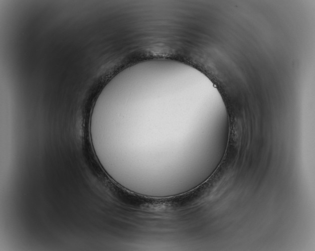 X0000091900639200709261658