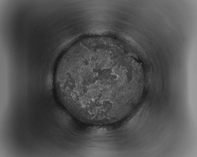 X0000091900640200709261658