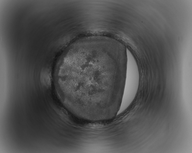 X0000091900644200709261658