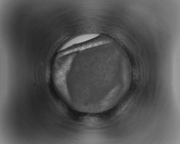 X0000091900648200709261658