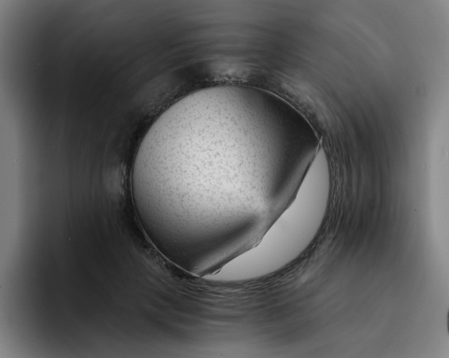 X0000091900649200709261658