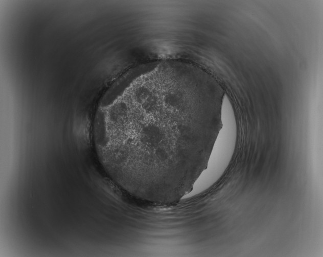 X0000091900650200709261658