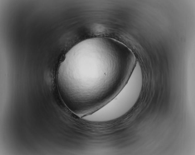 X0000091900653200709261658