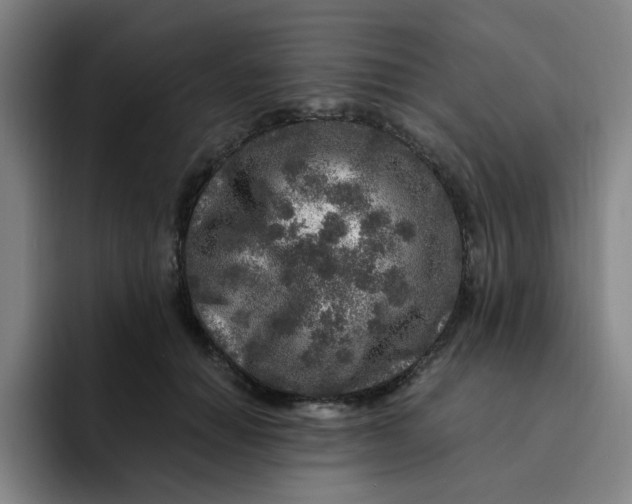 X0000091900654200709261658