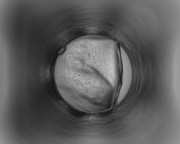 X0000091900655200709261658