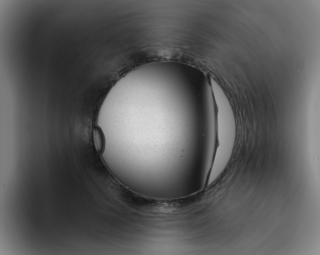 X0000091900656200709261658