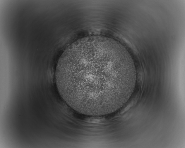 X0000091900661200709261658