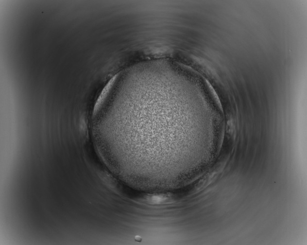 X0000091900662200709261658