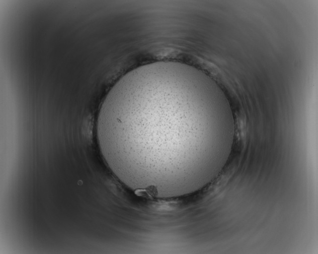 X0000091900664200709261659