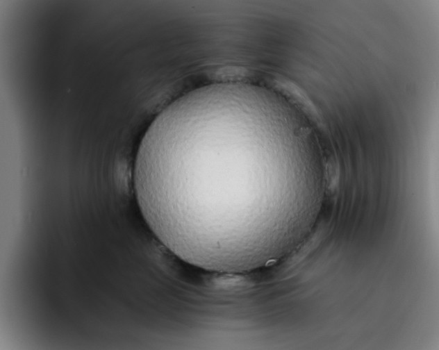 X0000091900669200709261659