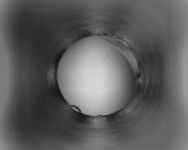 X0000091900670200709261659