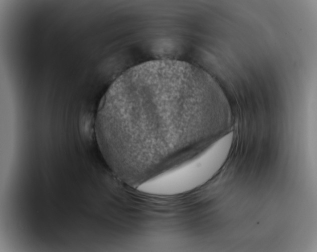 X0000091900671200709261659