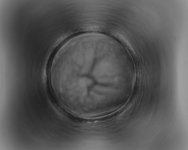 X0000091900674200709261658