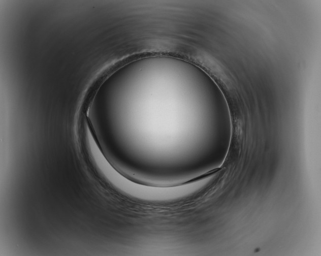 X0000091900676200709261658