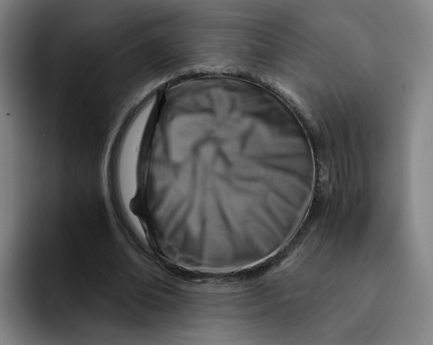 X0000091900678200709261658