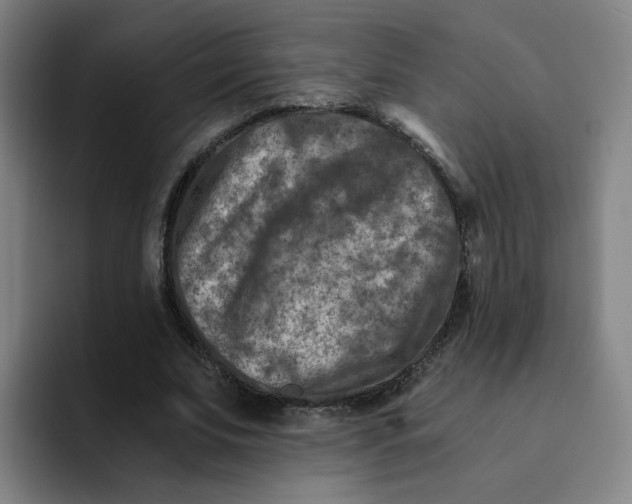 X0000091900679200709261658