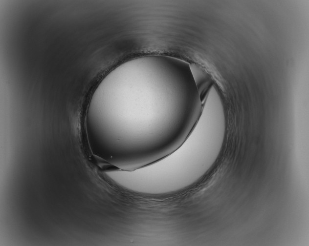 X0000091900681200709261658