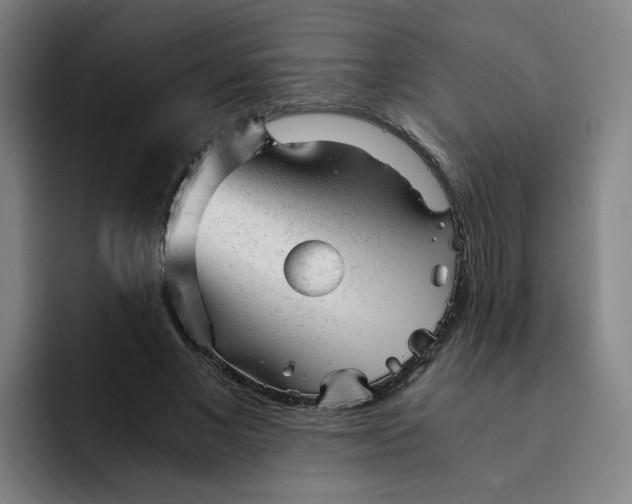 X0000091900685200709261658