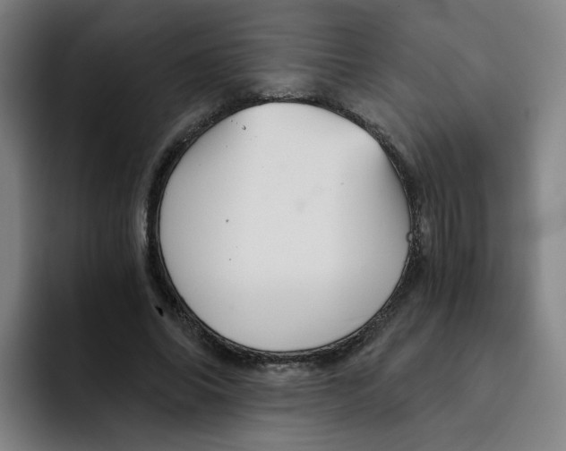 X0000091900686200709261658