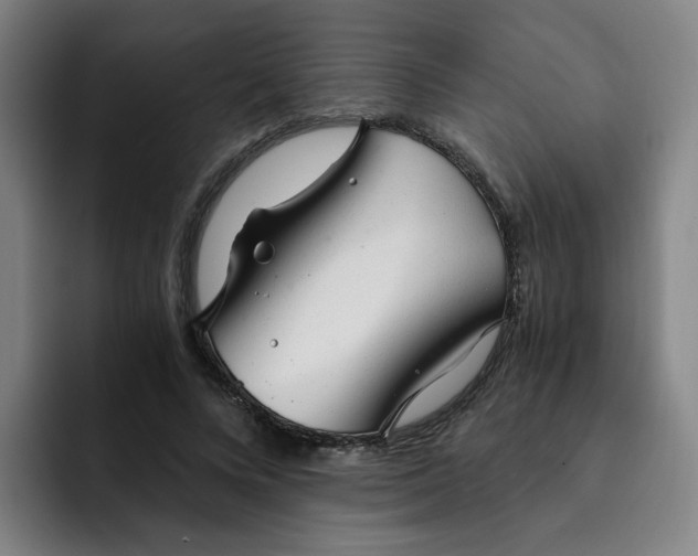 X0000091900688200709261658