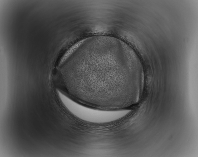 X0000091900689200709261658