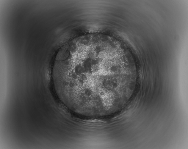 X0000091900691200709261658