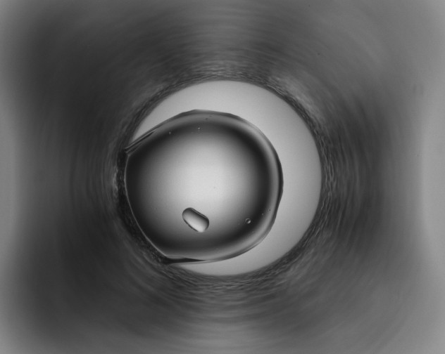 X0000091900692200709261658