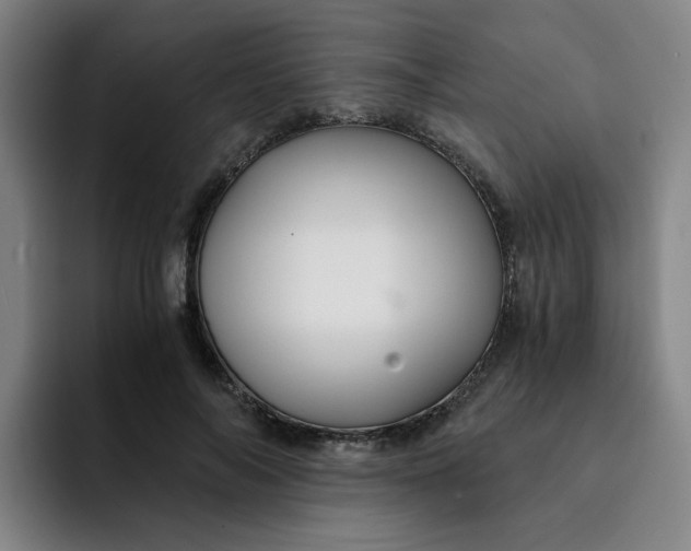 X0000091900694200709261658