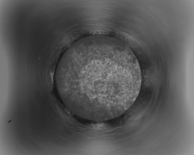 X0000091900695200709261658