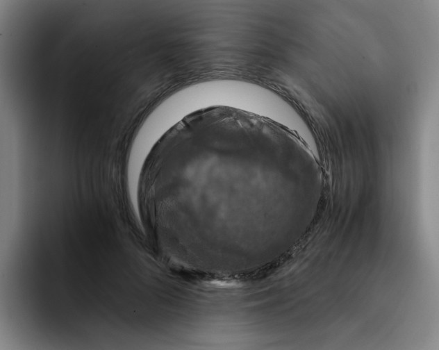 X0000091900696200709261658